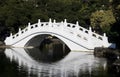 White Chinese Bridge Royalty Free Stock Photo