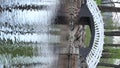 white chinese bridge in Monrepos park in summer