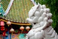 White chinese guardian lion in chinese temple