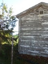 Shiplap shed