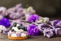White chocolate and blueberry sable tartelette on dark wood vintage table over a purple dry flowers and twigs background Royalty Free Stock Photo