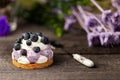 White chocolate and blueberry sable tartelette with vintage spoon on a dark grey wood table over a purple dry flowers background Royalty Free Stock Photo