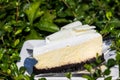 White chocolate cheese cake Royalty Free Stock Photo