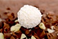 white chocolate  coconut ball on Chocolate Cake Royalty Free Stock Photo