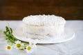 White chocolate and coconut cake with ricotta filling Royalty Free Stock Photo