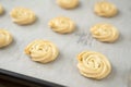 White chocolate cookies in baking tray Royalty Free Stock Photo
