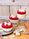White chocolate cream with raspberry puree Royalty Free Stock Photo