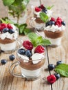 White chocolate and milk chocolate mousse with berries and meringue Royalty Free Stock Photo