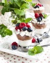 White chocolate and milk chocolate mousse with berries and meringue Royalty Free Stock Photo