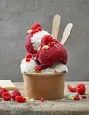 White chocolate and raspberry ice cream Royalty Free Stock Photo