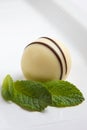 White chocolate truffle Royalty Free Stock Photo