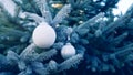 White Christmas balls on a Christmas tree branch, closeup, soft selective focus, banner. Royalty Free Stock Photo