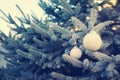 White Christmas balls on a Christmas tree branch, closeup, soft selective focus Royalty Free Stock Photo