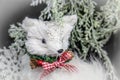 White Christmas fox decoration with red gingham bow against bokeh wintery background Royalty Free Stock Photo