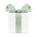 White Christmas gift box wrapped with frosty green bow and ribbon isolated on white