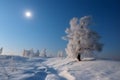 White Christmas landscape. Snowy tree on a hill with moon in the Blue sky, neural network generated image Royalty Free Stock Photo