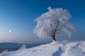 White Christmas landscape. Snowy tree on a hill with moon in the Blue sky, neural network generated image Royalty Free Stock Photo