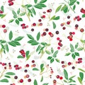 White christmas pattern with rose plant and buds.