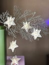 Christmas starlights on silver branch Royalty Free Stock Photo