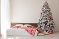 White Christmas tree with red bedroom toys new year winter gifts decor Royalty Free Stock Photo