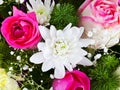 White chrysanth and pink roses