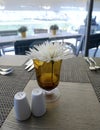 White chrysanthemum flower in vase on table Royalty Free Stock Photo