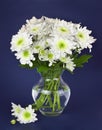 White chrysanthemum flowers bouquet in a glass vase Royalty Free Stock Photo