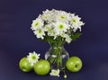 White chrysanthemum flowers bouquet in a glass vase and green apples on dark background Royalty Free Stock Photo