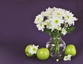 White chrysanthemum flowers bouquet in a glass vase and green apples on dark background Royalty Free Stock Photo