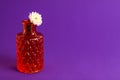 White chrysanthemum flowers in tiny red vase from glass with texture on purple background. Autumn holiday and home decor concept Royalty Free Stock Photo