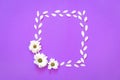 White chrysanthemum in the shape of square on a purple background Royalty Free Stock Photo