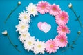 White chrysanthemums and pink gerbera are laid out in the form of a circle in the center two hearts Royalty Free Stock Photo