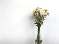 White chrysanths flower is blooming inside transparent bottle with water put on wooden table.