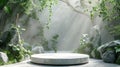 White circular platform with sunrays and plants. Royalty Free Stock Photo