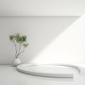 Minimalistic White Room With Delicate Plant In Pot