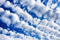 White cirrocumulus clouds blue sky background, fluffy stratocumulus cloud texture, altocumulus cloudy skies, cirrus cloudscape Royalty Free Stock Photo