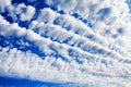 White cirrocumulus clouds blue sky background, fluffy stratocumulus cloud texture, altocumulus cloudy skies, cirrus cloudscape Royalty Free Stock Photo