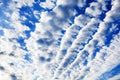 White cirrocumulus clouds blue sky background, fluffy stratocumulus cloud texture, altocumulus cloudy skies, cirrus cloudscape Royalty Free Stock Photo