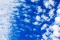 White cirrus clouds blue sky background closeup, fluffy cumulus cloud texture, cloudscape, cloudy weather, cloudiness, ozone layer Royalty Free Stock Photo