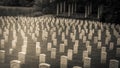 White Civil War Headstones Graves Kentucky Royalty Free Stock Photo