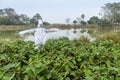 A white-clad scarecrow is guarding the eggplant field