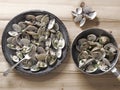 White clams in white wine sauce Royalty Free Stock Photo