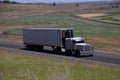 White Classic Peterbilt / White Unmarked Trailer