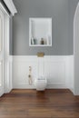 white classical bathroom concept