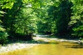 White Clay Creek Royalty Free Stock Photo