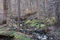 White Clay Creek in Delaware.