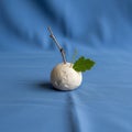 Dry twig and a fresh green leaf are inserted into the sphere creating a Royalty Free Stock Photo