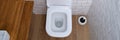 White clean ceramic toilet with silver wall button closeup