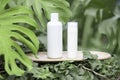 White clear tube for skincare bottle on bamboo plate over tropical leaves background. Skincare spray tube for helthcare