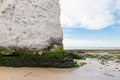 White cliffs Botany Bay La Manche English channel